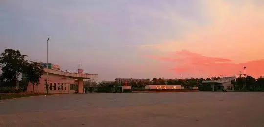 A|W211֮׆᣿͘IΣţIȫڎף