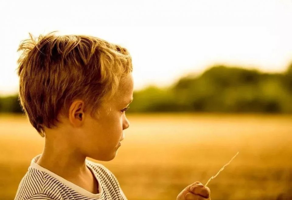 CMӸHcԓ˼ο˷СCMZԸ