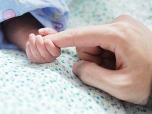 HP(gun)ϵһNʲôP(gun)ϵôf(shu)HP(gun)ϵ(du)ӵӰ