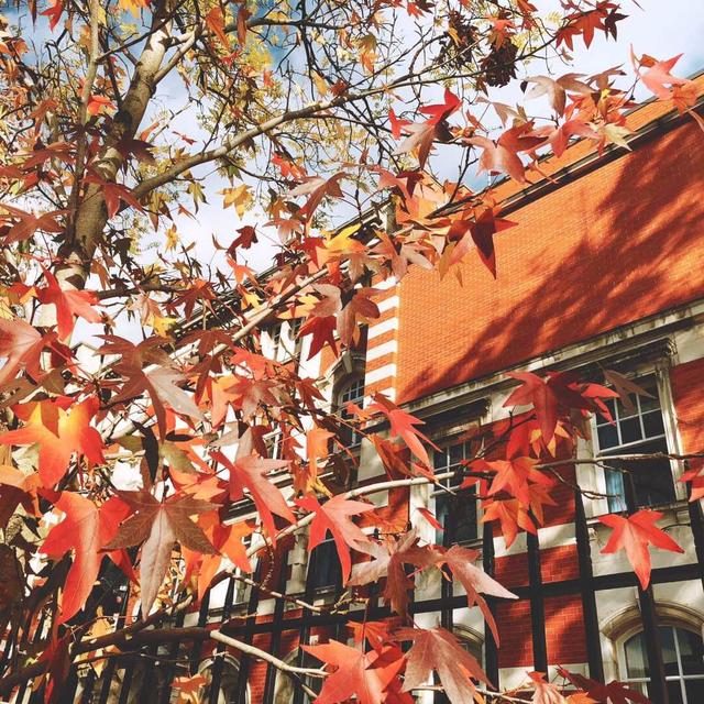 ˹شWôஔڇʲôWڎJɶȸ߆