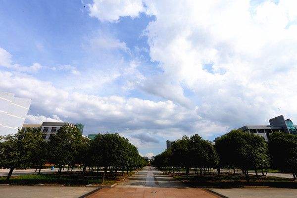 h̴WС211᣿ںĿڱôӣΣWM