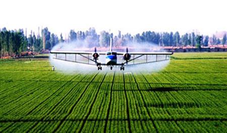 ֌WTʿI͘Iǰôӣ֌WЩI