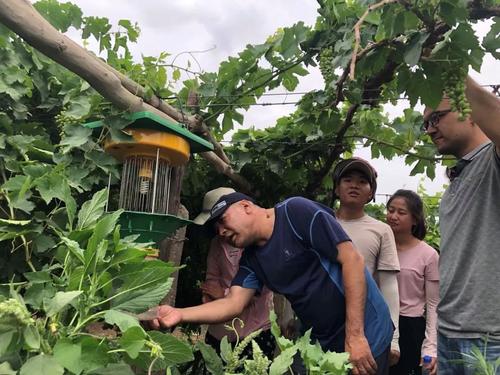 ֌WTʿI͘Iǰôӣ֌WЩI