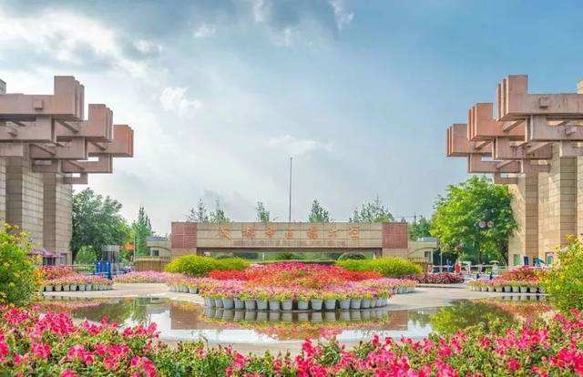 ɶtˎWcW᣿ڱ݌I͘I