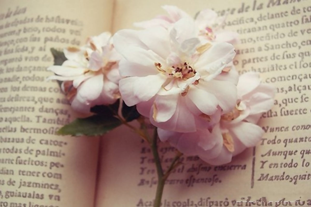 PڿеĻRֱؿǰhȸ@11}