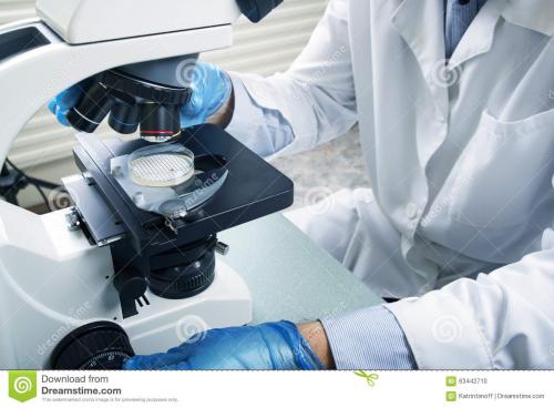 ȇ͵6WIIʧI@ЩWIѽ