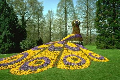 園藝研究生就業前景如何是冷門專業嗎?農學園藝女生學合適嗎