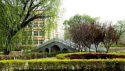 ȷl(wi)I(y)W(xu)ԺôӣģԌ᣿lòã