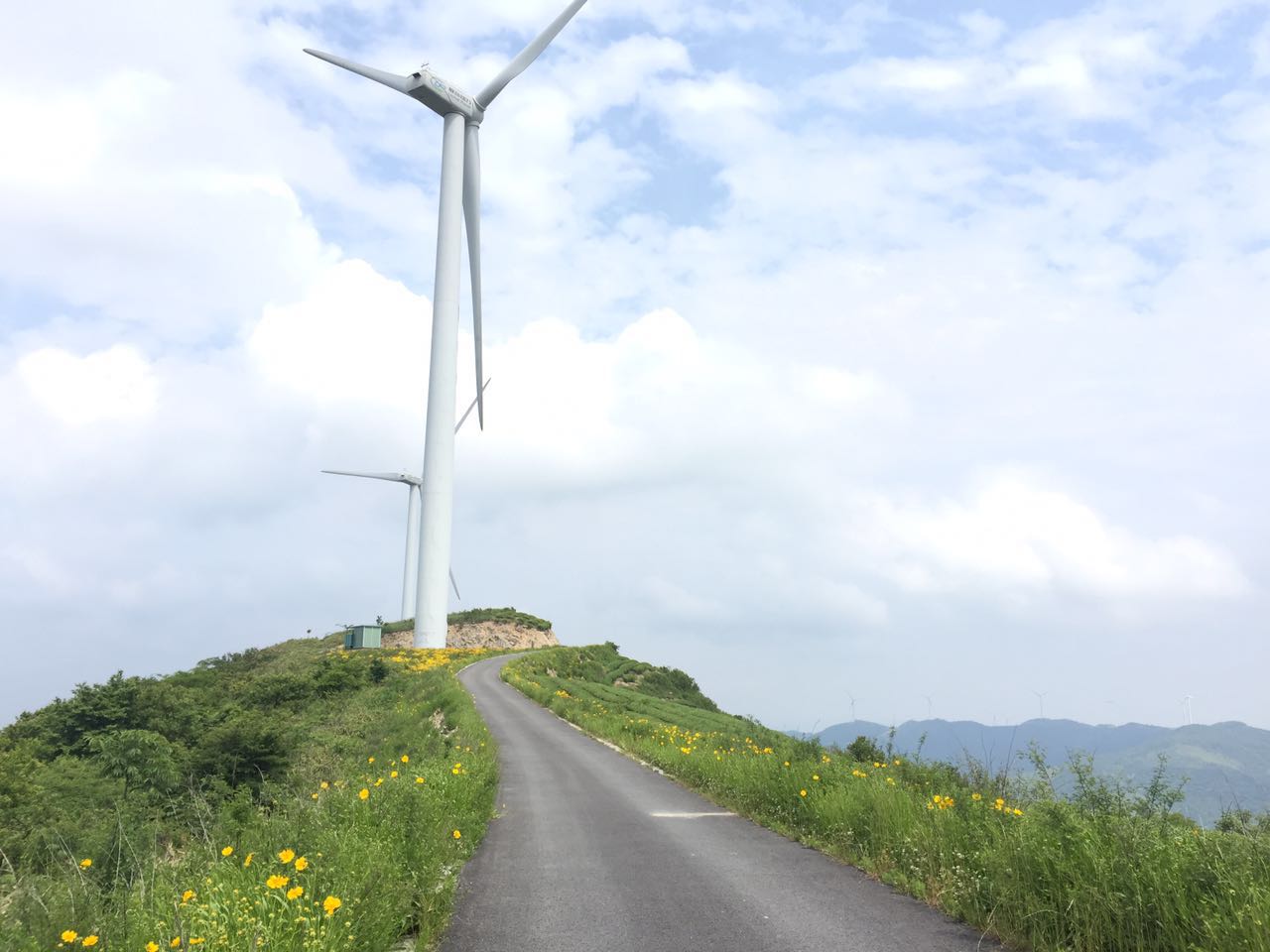 ɿƵėlʲôܿ猣I󿼆᣿ʲô