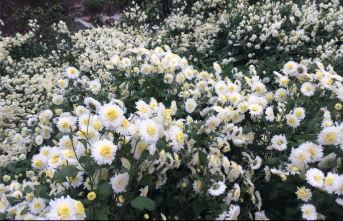 СW̎Cÿͨ^ʸ߆᣿ʲôfСWώˣ