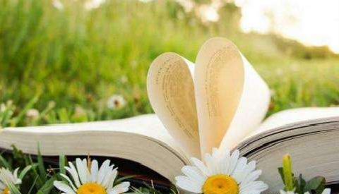 小學畢業怎么提高學歷可以自考嗎?小學畢業自考大專有哪些步驟?