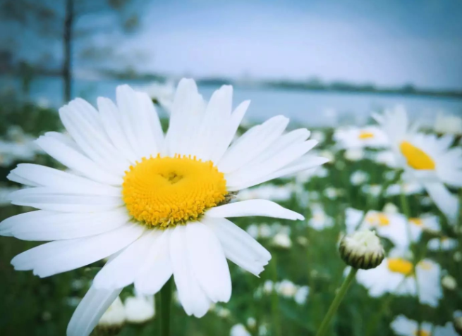 ɿA^᣿ÿ]^˶᣿˸߿ͨ^ôӣ