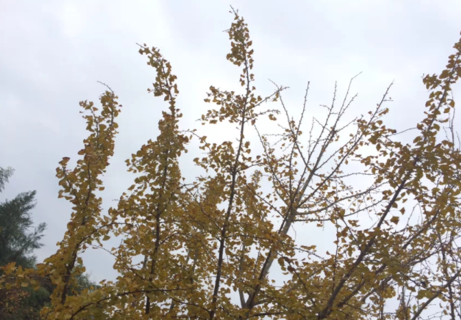 ɿA^᣿ÿ]^˶᣿˸߿ͨ^ôӣ