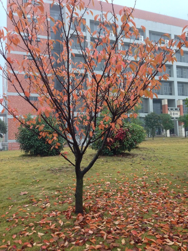 W(xu)һһVЧÆ᣿W(xu)һһrжF