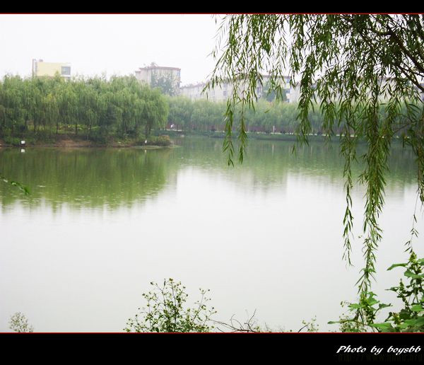 _ĂýЌW(xu)ǰ_ЌW(xu)_һĂ