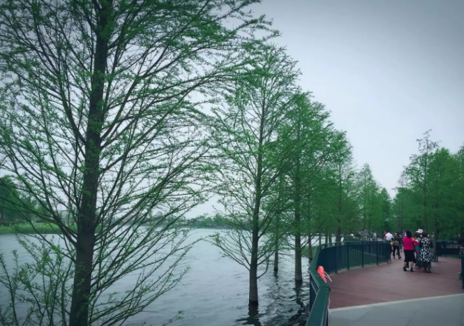 ˽WУЩ?СW˽Æ?˽Ҫʲôl