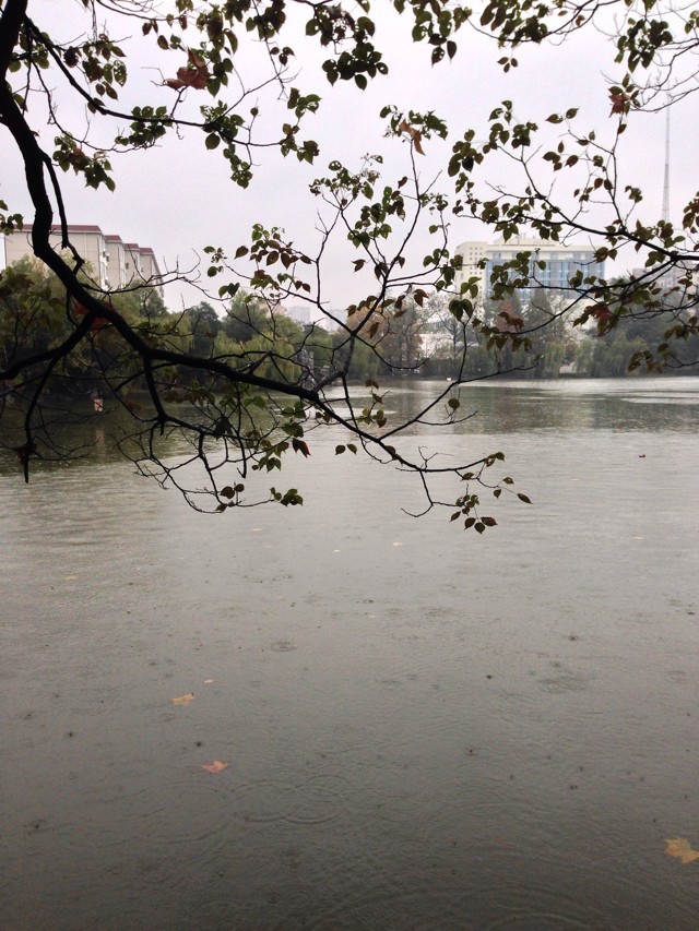 消防證書(shū)有什么用值得考嗎?考消防證難不難怎么考報(bào)考條件介紹?