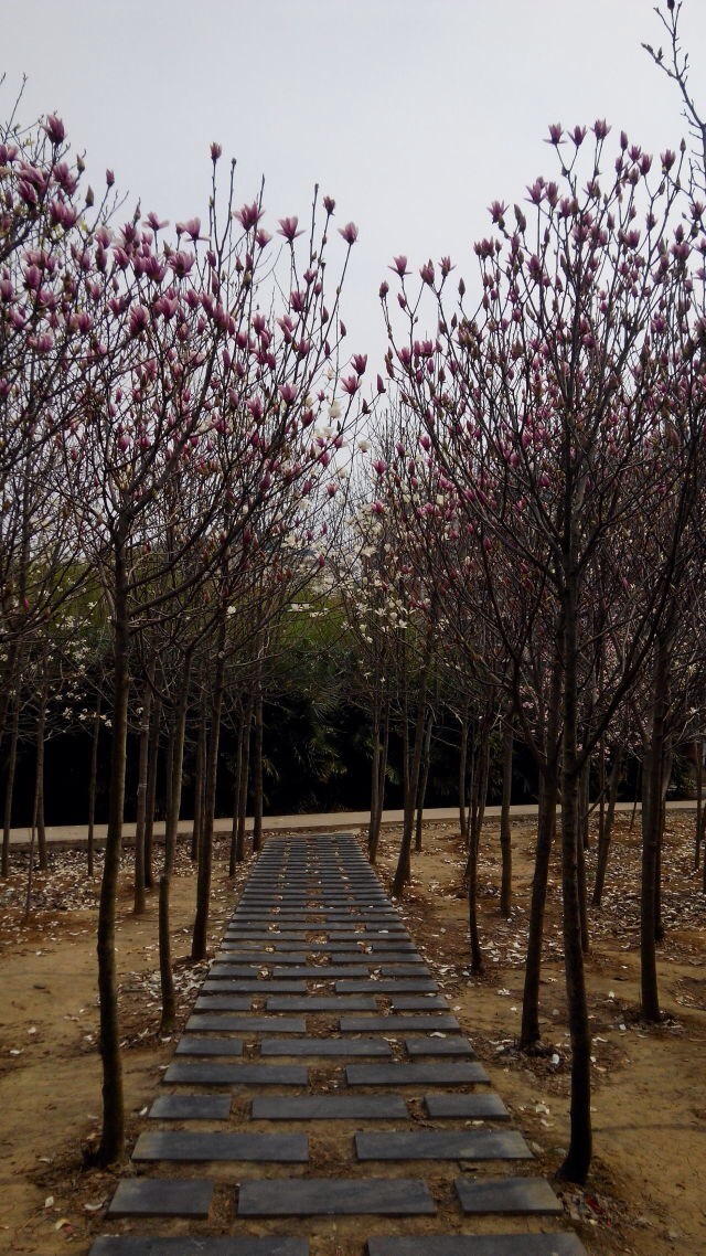 СW(xu)(yng)ԓʲôn(sh)꼉(j)xn(sh)Щǰʮ]