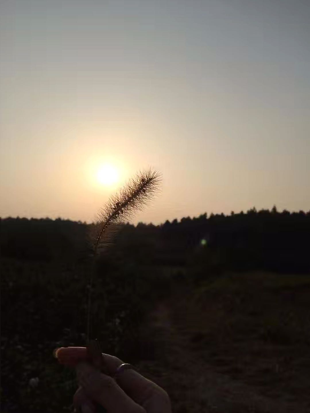 늴ͺĂߣą^(q)eʲô