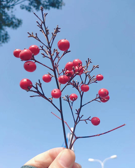 oʿCҪʲôlʲôwЩyȴ