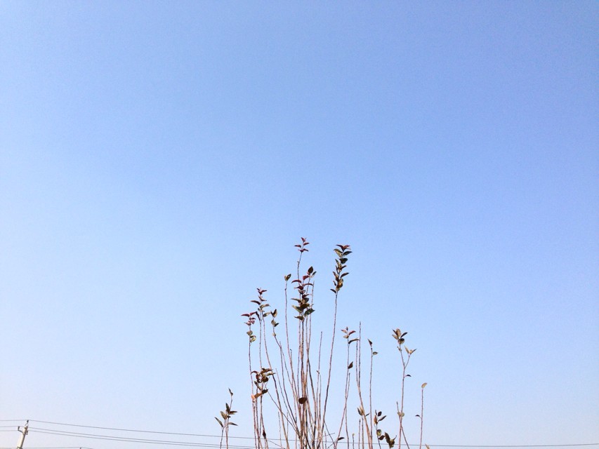 初中生能上高鐵乘務(wù)學(xué)校嗎要上幾年?初中生高鐵學(xué)校有哪些哪個(gè)好?