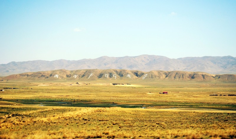 聘用制和合同制的區別介紹哪個更好?聘用制是正式的嗎穩定嗎?