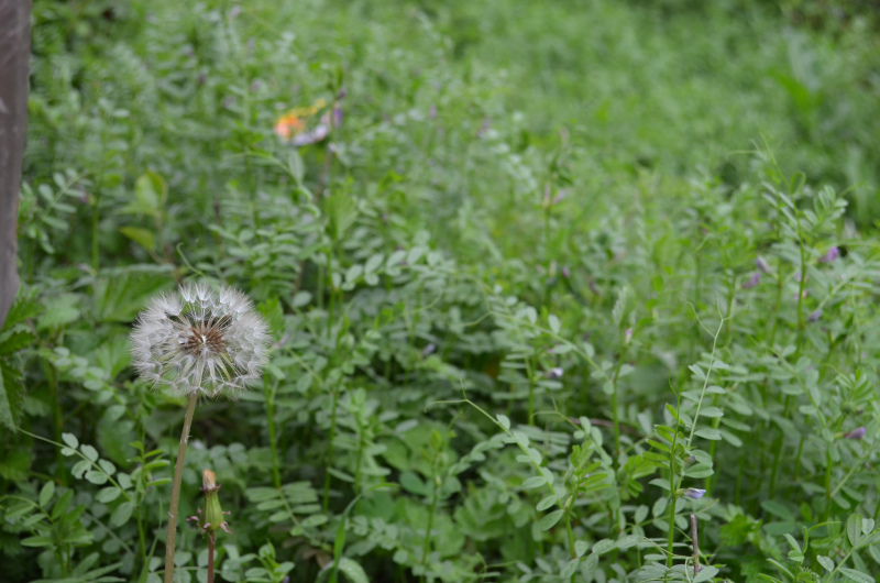 F·WУҪٷ֣F·WУЩ