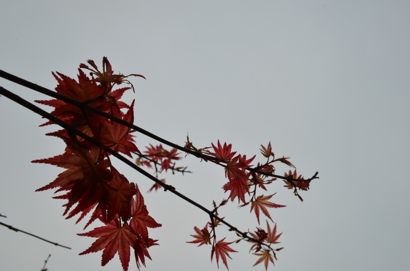 쎟eôָߵ?쎟һ֎׼Ăe?