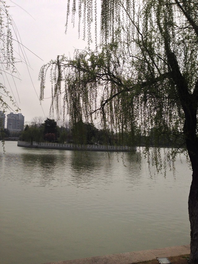 男生學(xué)會(huì)計(jì)好找工作嗎工資一般多少?男會(huì)計(jì)多嗎吃香嗎?