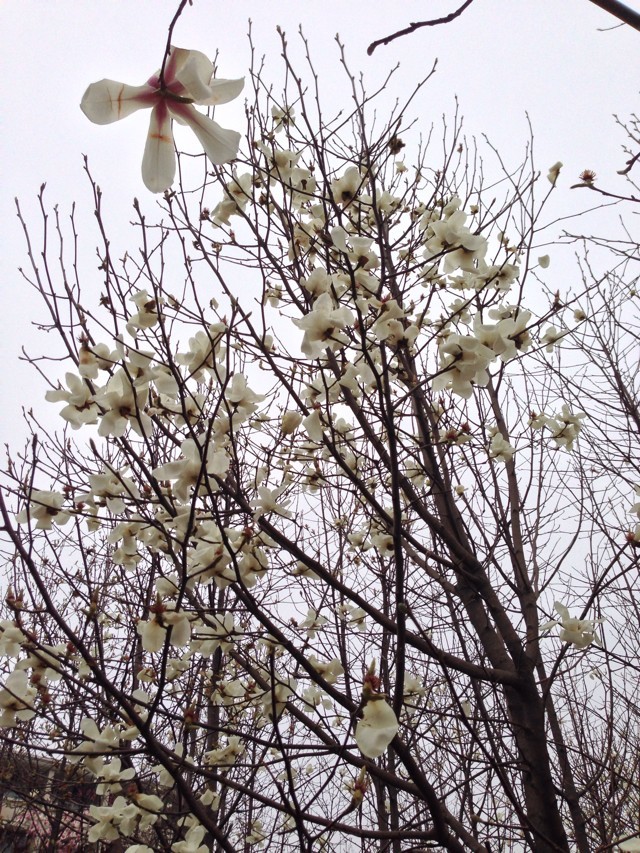 Wx{󿼗lBô?x{òðlչǰô?