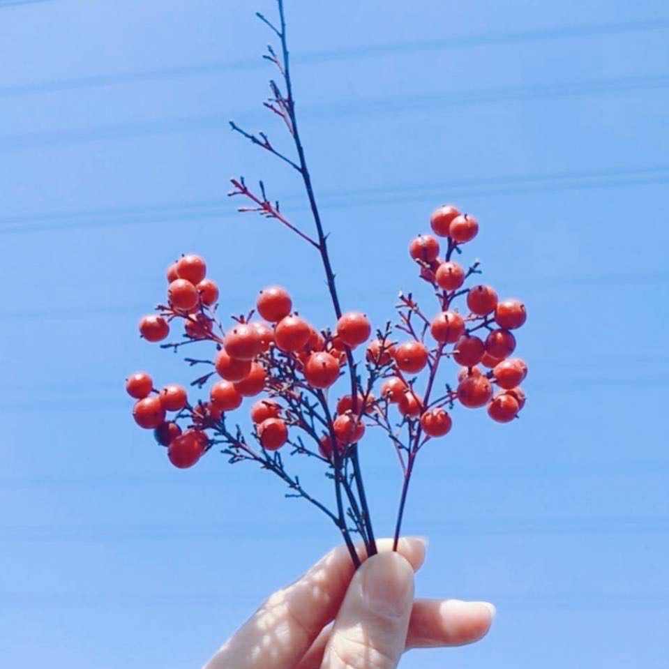 Ӌ(j)C(j)ڹW(xu)߀W(xu)?W(xu)W(xu)ʲô^(q)e?Ӌ(j)C(j)ЩI(y)