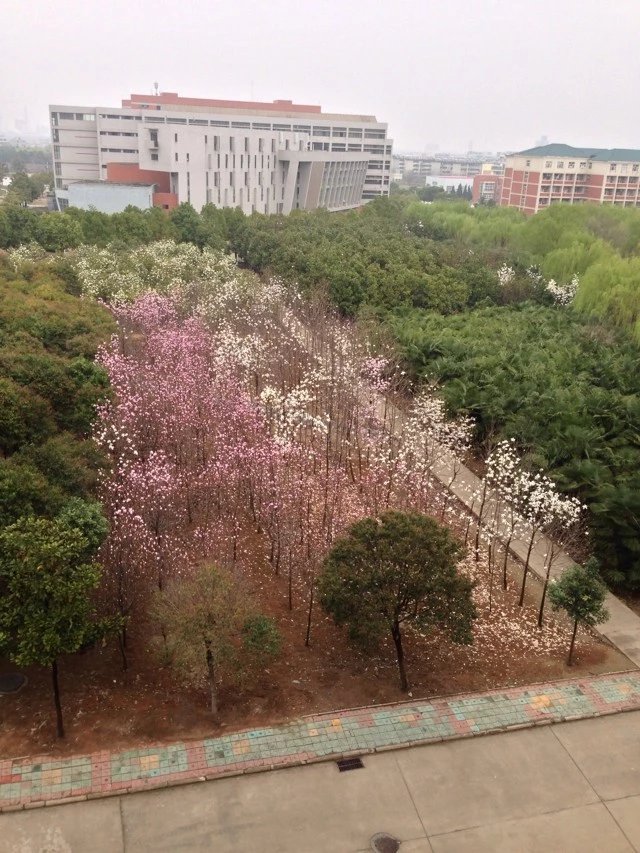 WʲôIÌWӋҹ᣿WӋЩݣ