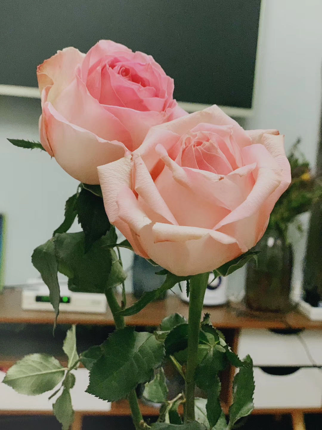 ӢZgCÿ᣿Σ󿼗lʲô