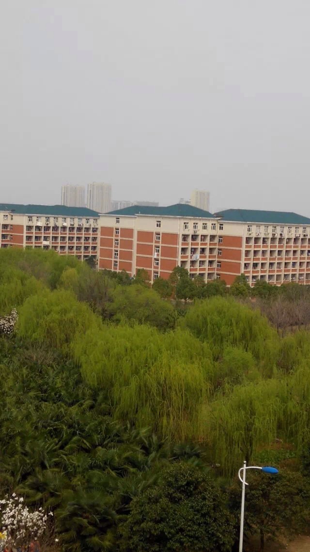 中央黨校研究生好考嗎前景如何?黨校研究生有用嗎畢業出路有哪些?