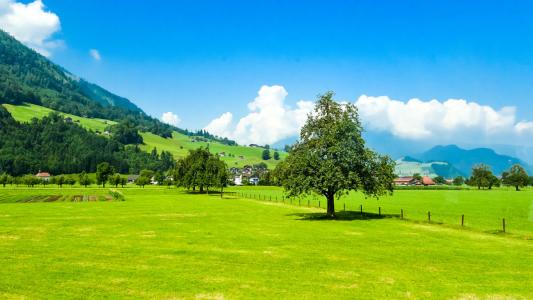 ӢZһЎׂȼӢZʲôˮƽyy