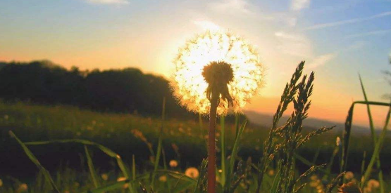 ȦLDľl^]һ了̵LӴPc