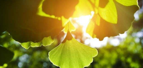 ԼoһȻľӴPc25oĵľӿ͸