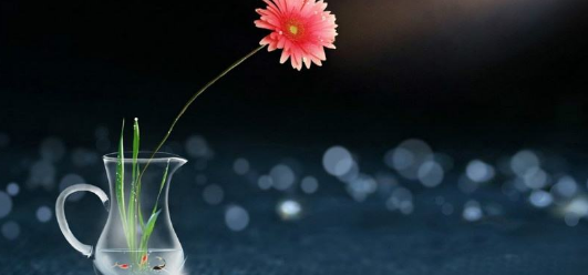 關(guān)于后悔的經(jīng)典句子說說心情短語,句句心涼痛徹心扉!