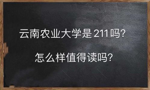 rIW211ôֵx᣿ʲôIþ͘Iǰ