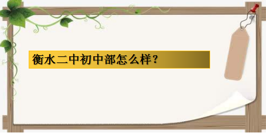 衡水二中初中部怎么樣在哪個校區?是公立還是私立?學費多少