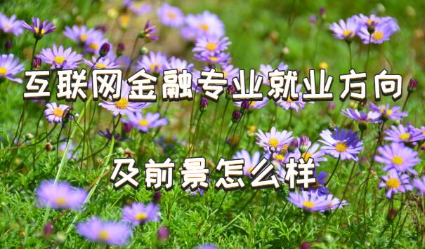 1650095693449036.jpg 互聯網金融專業就業方向及前景怎么樣?