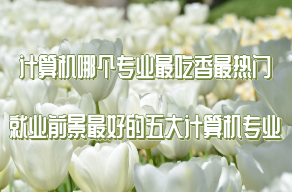 1651737536107579.png 計算機(jī)哪個專業(yè)最吃香最熱門 就業(yè)前景最好的五大計算機(jī)專業(yè)