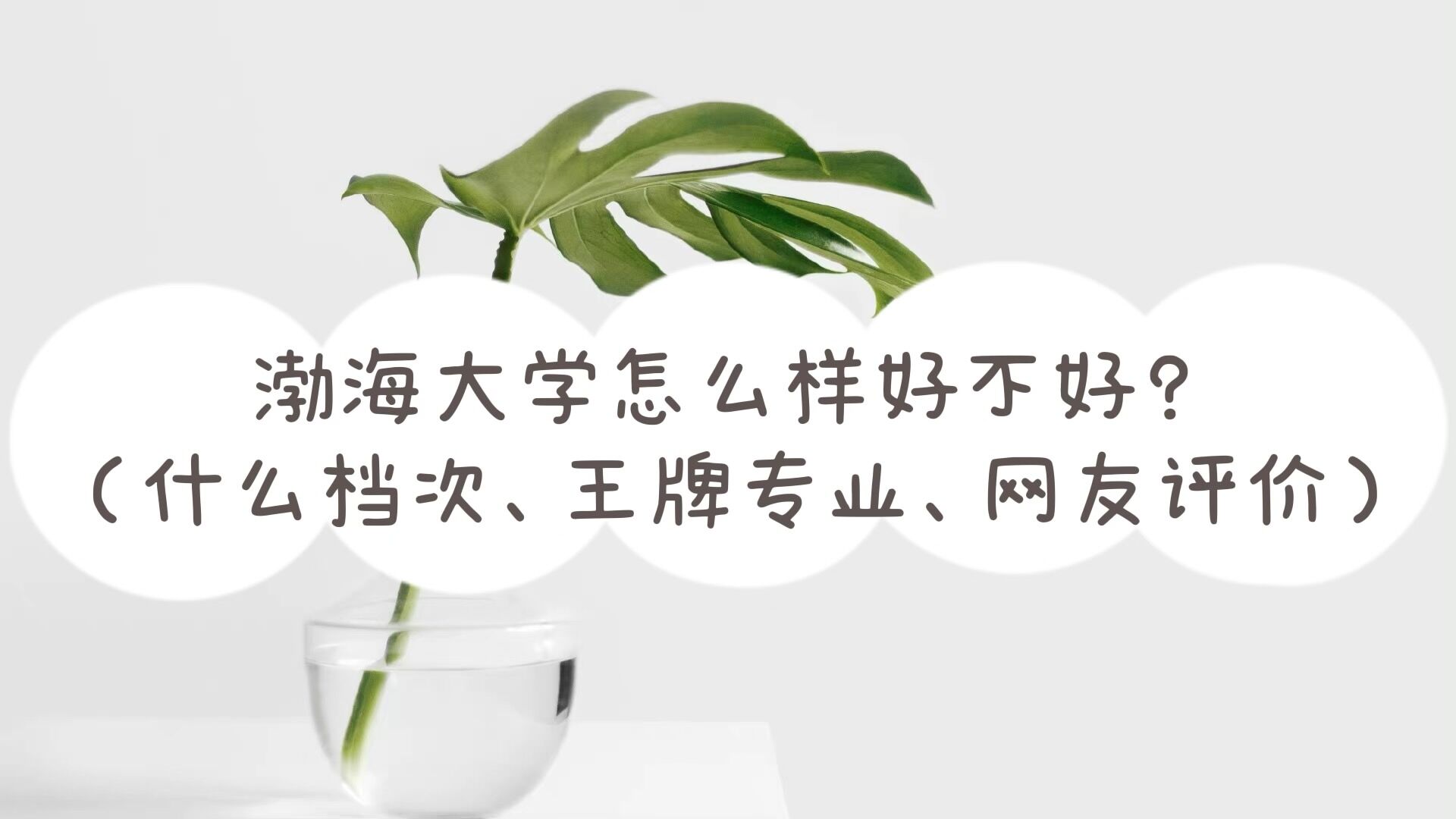 1652085975257028.jpg 渤海大學(xué)怎么樣好不好(什么檔次、王牌專(zhuān)業(yè)、網(wǎng)友評(píng)價(jià))