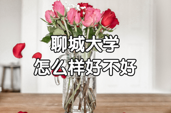 ĳǴW(xu)ôӺòãʲônΡƌI(y)ԺУڱ