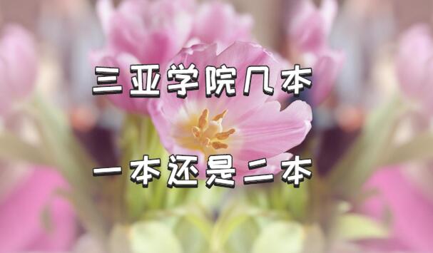 1652863903236330.jpg 三亞學(xué)院幾本?一本還是二本?(附海南省本科院校一覽表)