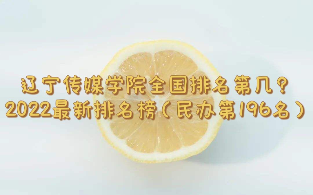 |ýWԺȫڎף2023k196