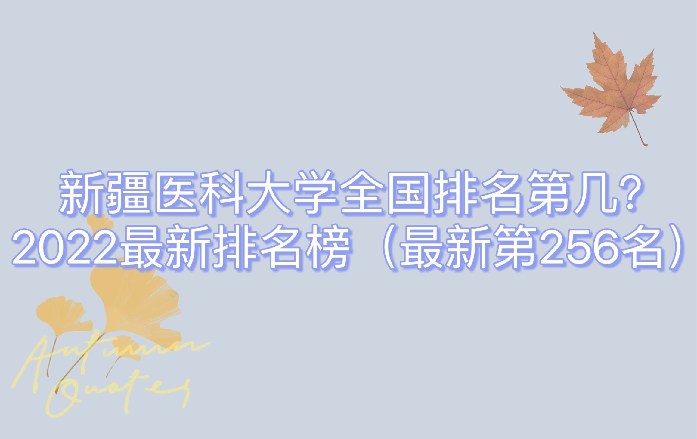 ½tƴWȫڎף2023µ256