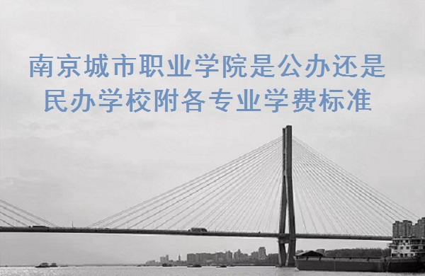 1666857579577402.jpg 南京城市職業(yè)學(xué)院是公辦還是民辦學(xué)校,附各專業(yè)學(xué)費(fèi)標(biāo)準(zhǔn)!