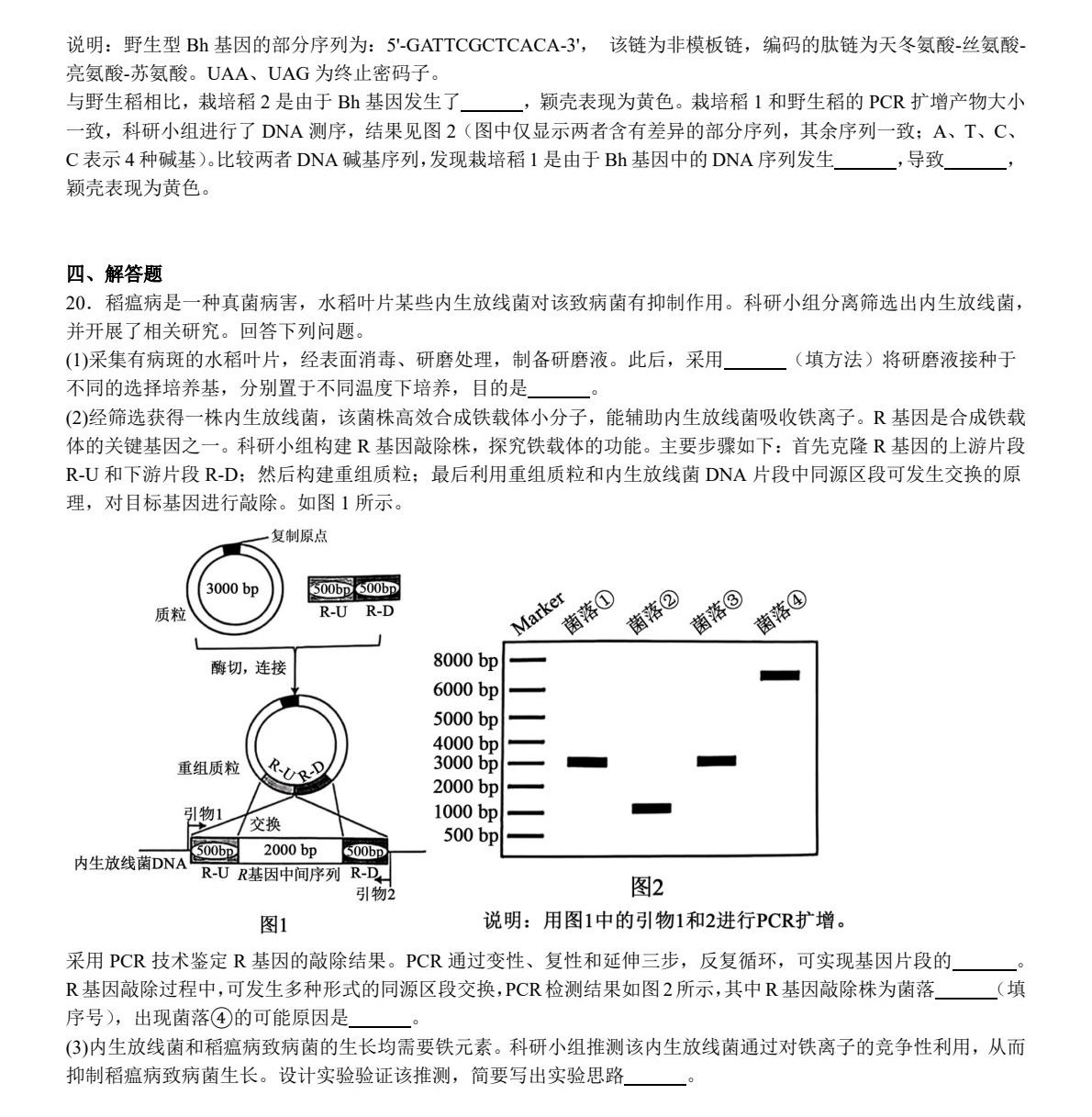 1752797575508138.jpg 2025安徽新高考生物試卷真題及答案解析,附考點題型及分值分布