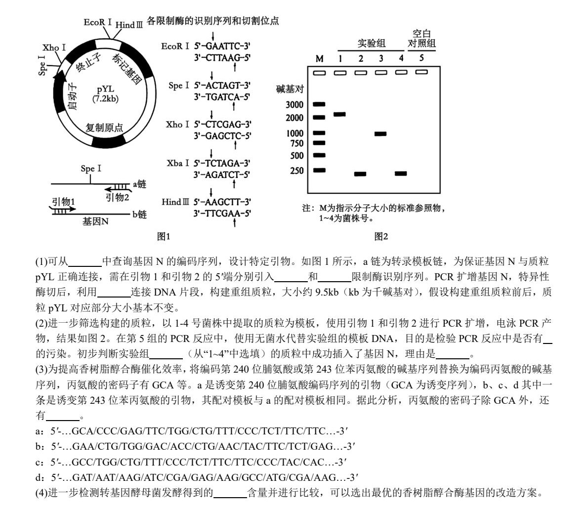 1753342614827942.jpg 2025新高考生物東北卷真題及答案解析(黑吉遼蒙),附考點題型及分值分布